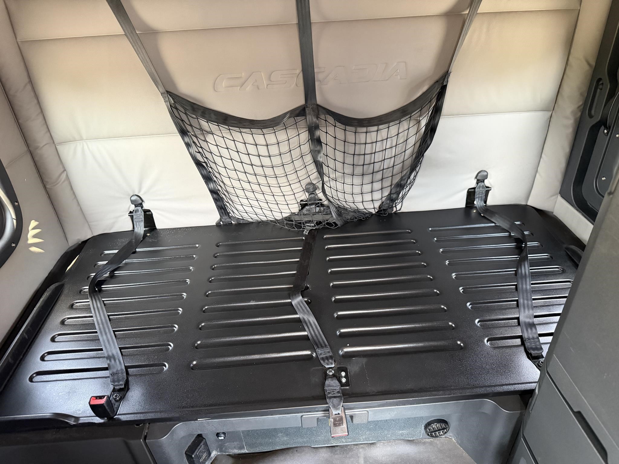 2020 FREIGHTLINER CASCADIA 126 11035587384 2020 FREIGHTLINER CASCADIA 126 11035587384